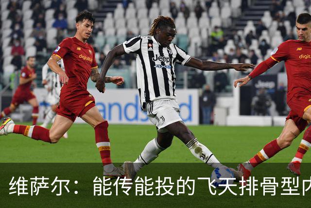 维萨尔：能传能投的飞天排骨型内线 需要大个子的球队不容错过